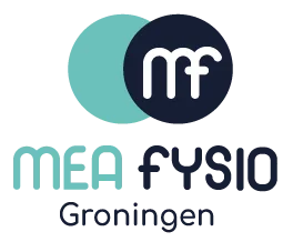 meafysio groningen